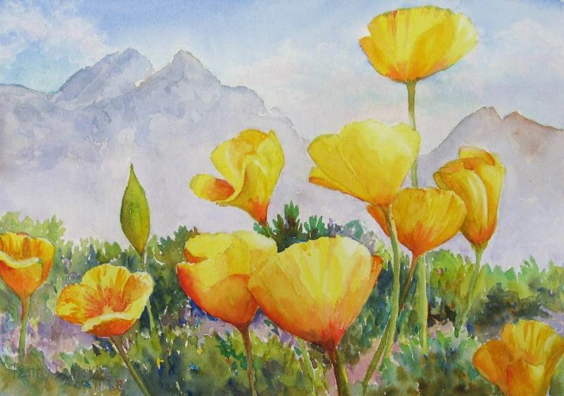 This Years Poppies 8x10